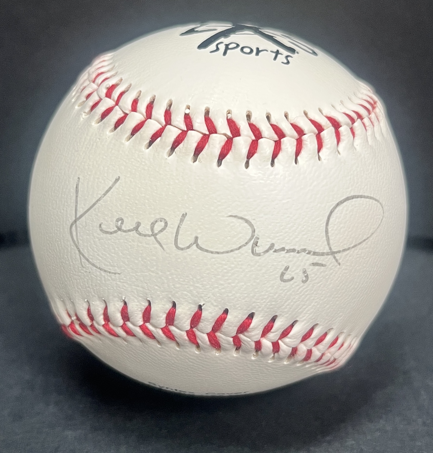 - Kerry Wood Autographed Baseball<br /> #7339157<br /><a class='button AddToCart' data-ajax='true' data-ajax-mode='replace' data-ajax-update='#cart-info' href='/AddToCart?itemId=@Model.Id&quantity=1&type=0'>Add To Cart</a>