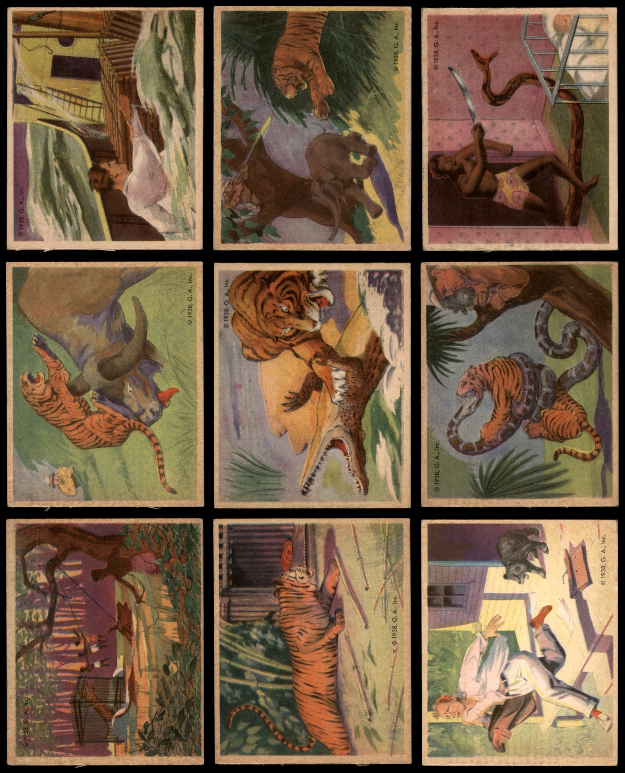 ヨハク　9th anniversary 1938 Frank Buck Near Complete Set 4 - VG/EX 6697663 (29 / 48 cards