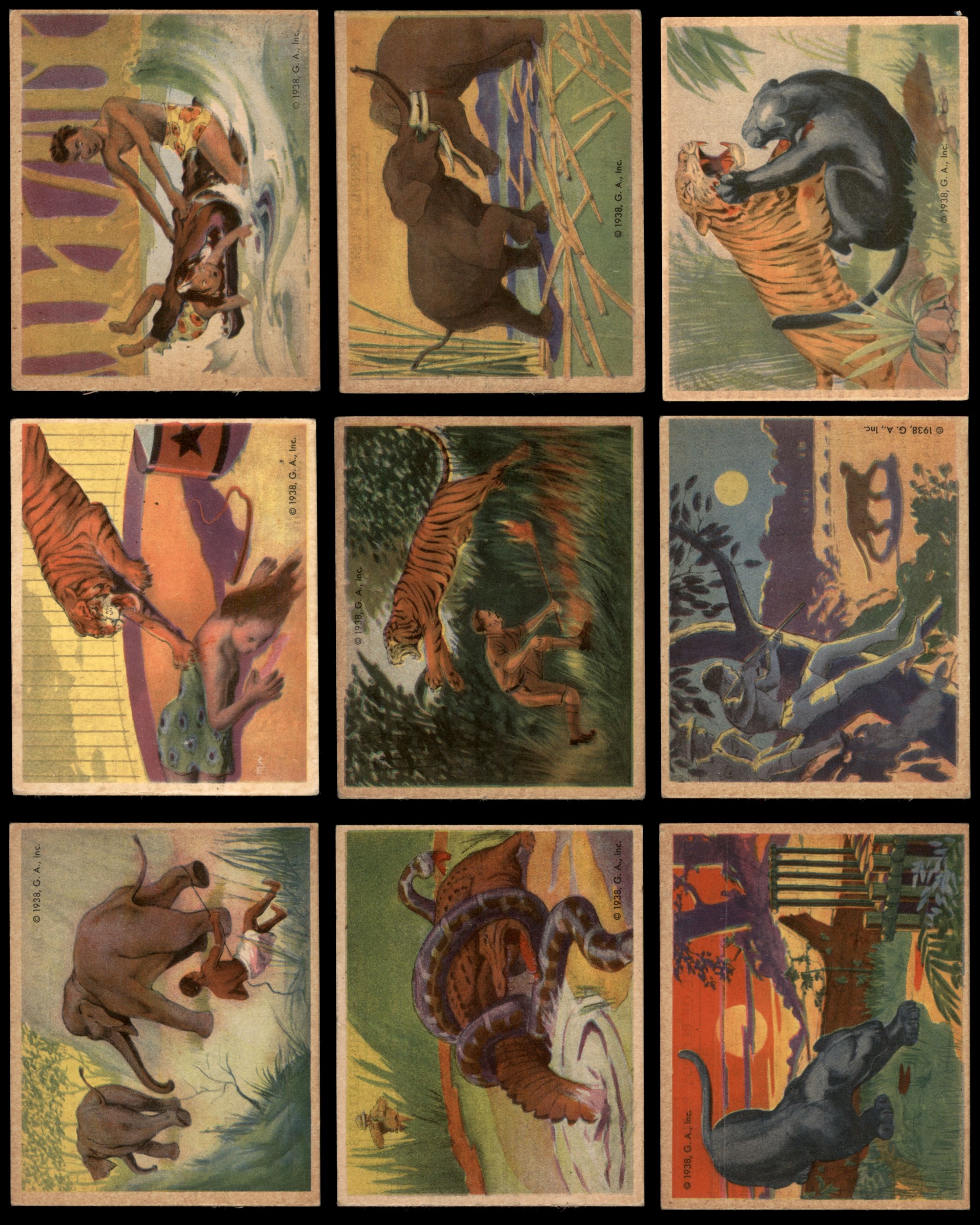 1938 Frank Buck Near Complete Set 4 - VG/EX 6697663 (29 / 48 cards