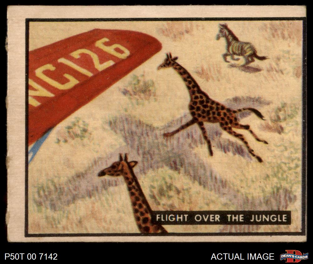 1950 Topps Bring Em Back Alive #12 Flight Over The Jungle 3 - VG