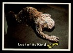 #26 Last of its Kind  