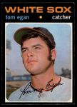 #537 Tom Egan 