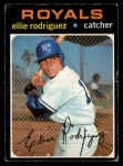 #344 Ellie Rodriguez 