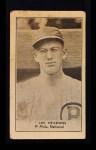 Lee Meadows 