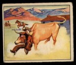 #4 Bulldozing Longhorn  