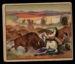 #15 Buffalo Stampede  