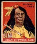 #110 Chief of the Shienne Tribe  