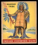 #23 Mandan Tribe  