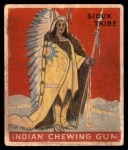 #22 Sioux Tribe  