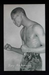Sugar Ray Robinson 