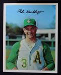 Mike Hershberger 