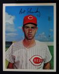 Art Shamsky 