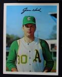 Jim Nash 