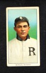 Dutch Revelle 
