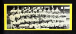 Brooklyn Dodgers Team  