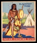 #152 Chief of the Blackfoot Tribe   