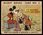 #2 It's Raining Cats And Dogs   Type II 