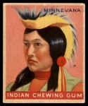 #94 Minnevana  