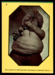 #3 Droopy McCool 