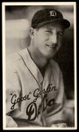Goose Goslin  