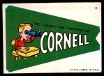 #14 Cornell Caught me Cheating  