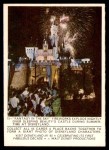 #15 Fantasy in the Sky Fireworks Explode  