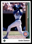 #205 Andre Dawson 