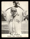 Mike Budnick 