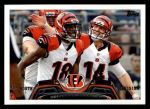 #236 Cincinnati Bengals Team  