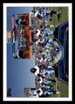 #397 Tennessee Titans Team  