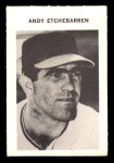 Andy Etchebarren 