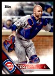 #441 David Ross 
