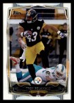 #162 Troy Polamalu 