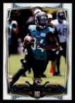 #392 Storm Johnson 
