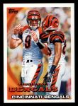 #184 Bengals Team Carson Palmer / Chad Ochocinco 