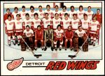 1977 Topps #77  Red Wings Team Checklist<br />H77T 06 0025<br /><a class='button AddToCart' data-ajax='true' data-ajax-mode='replace' data-ajax-update='#cart-info' href='/AddToCart?itemId=4700968&quantity=1&type=0'>Add To Cart</a>