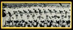 Washington Senators Team