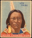 #8 Ute Tribe   