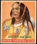 #121 The Pigeon's Egg Head   