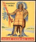 #23 Mandan Tribe   