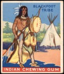 #24 Blackfoot Tribe   