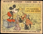 #2 It's Raining Cats And Dogs   Type I  