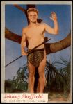 #66 Johnny Sheffield 