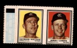 Haywood Sullivan / Jerry Lumpe 