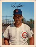 Ron Santo 