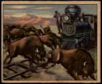 #30 Buffaloes Stop Train  