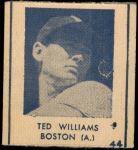 #44 Ted Williams 