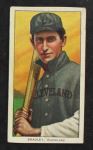 Bill Bradley Bat 