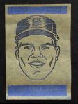 Bill Freehan 