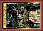 #68 Forest of Endor  